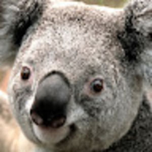 Meet your Posher, Jose